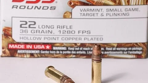 Winchester 333 Review