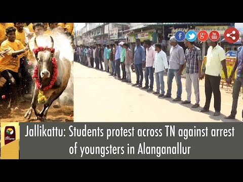 Jallikattu: Students protest across TN against arrest of youngsters in Alanganallur