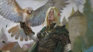 What They Don't Tell You About Half-Elves - D&D