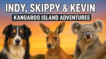 KI Is WILD.Kangaroo Koala and a Secret Beach