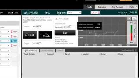 Binary International Using The No Touch Trade Feature In The Safe Zone