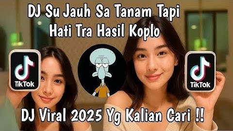 DJ SU JAUH SA TANAM HATI TAPI TRA HASIL X NAN KO PAHAM VIRAL TIKTOK 2025