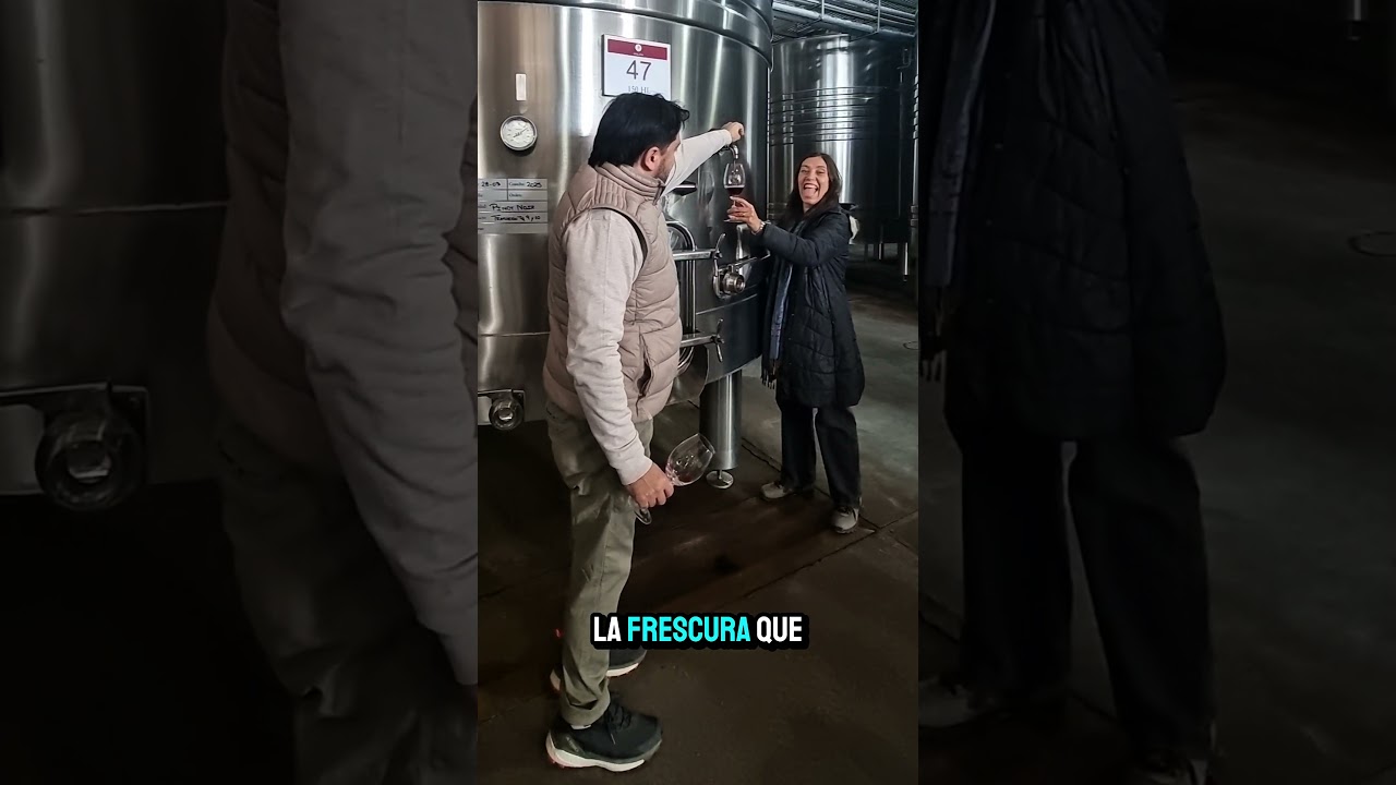 🍷 Malma: elegancia patagónica que se bebe 