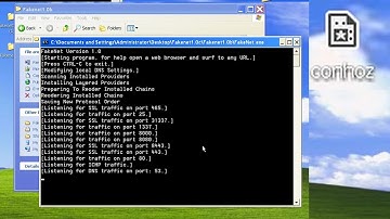 Reverse Engineering a Windows XP NET Worm