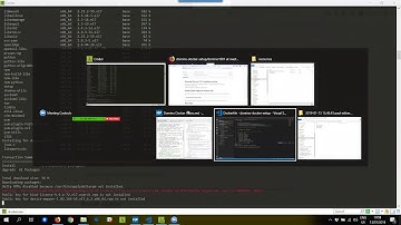 Domino on Docker Part 1