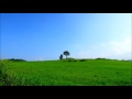 ベートーヴェン: ピアノ協奏曲第5番｢皇帝｣：第3楽章［ナクソス・クラシック・キュレーション #元気］
