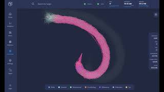 Townet Hornet Node in Action!
