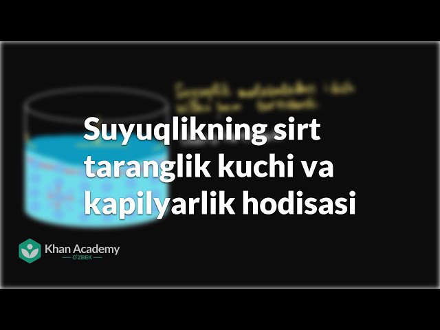 Umumiy hojatxonadagi kamera