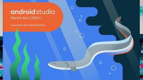 How To Install And Update To Latest Android Studio Electric Eel and What