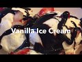 How To Make Homemade Vanilla Ice Cream