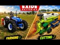 CHALLENGE HARVEST TIME 🌾 CUTTING STARTED!#viral #trending #video full farming indian desi similuter