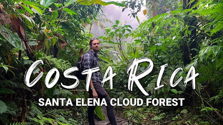 Santa Elena Cloud Forest, Monteverde, Costa Rica |...