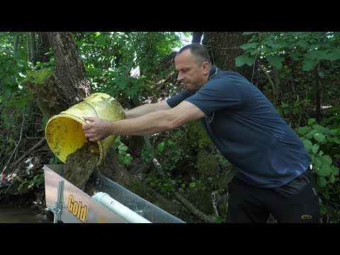 Video: Kako Ujeti Zlata