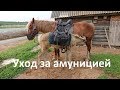 Конная амуниция, уход за амуницией.