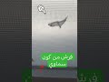 صبحان الله خاليق كول اكسبلور Tiktok Automobile بئمره يوتوب هاشتاج فيسبوك النترنيت ريلز صبحان الله خاليق كول اكسبلور Tiktok Automobile بئمره يوتوب هاشتاج فيسبوك النترنيت ريلز