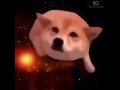 Space Doggo 10 Hours