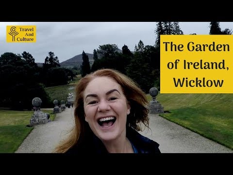 Vídeo: Como você se livra de um wicklow?