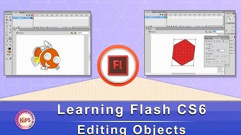 Learning Flash CS6: Editing Objects