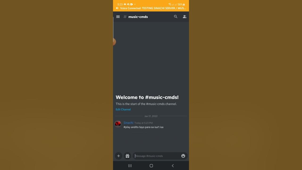 How to use ProBot as a Music Bot Mobile Discord Tutorial Channel