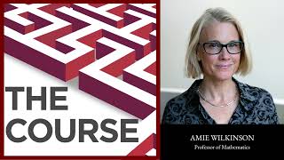 Episode 115 - Amie Wilkinson: "I love communicating math."