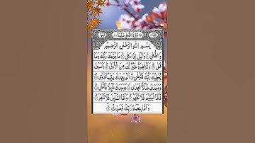 والضحى وليل إذ سجى ⚘سورة الضحى بصوت جميل جدا 🌷حالات واتس اب دينية مؤثرة ⚘💙