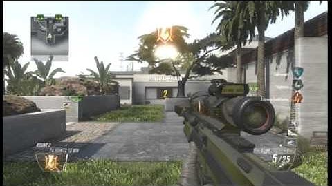 Combat axe Spots on raid BO2