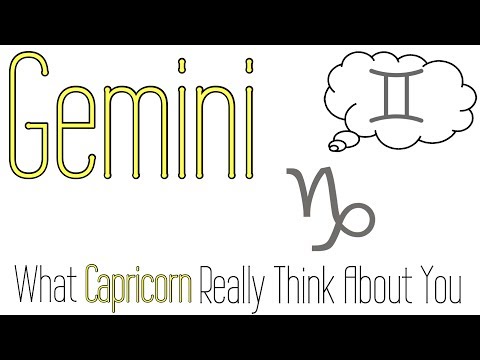 Gemini and Capricorn friendship