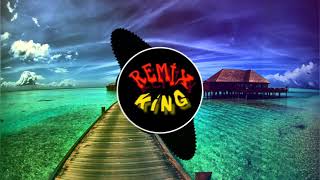 Remix King Ahmet Kaya I