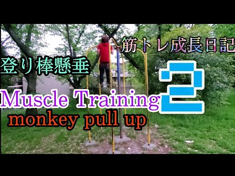 筋トレ成長日記 登り棒懸垂 Monkey Pull Up Muscle Training Youtube