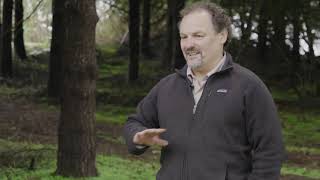 Oregon Truffle Festival Welcome Video