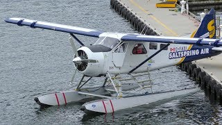 De Havilland Canada DHC-2 Beaver Engine Start-Up & Takeoff