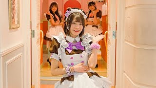 Visiting a Japanese Maid Cafe to Meet a Famous Maid💜 | @Home Cafe AKIHABARA | Chimu