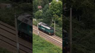 ST44-1228 'Gagarin' luzem pokonuje szlak Cierpice - Toruń Kluczyki jako 555164 do Torunia