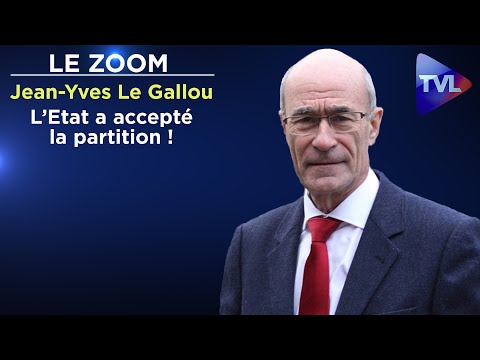 L’Etat a accepté la partition ! - Le Zoom - Jean-Yves Le Gallou - TVL