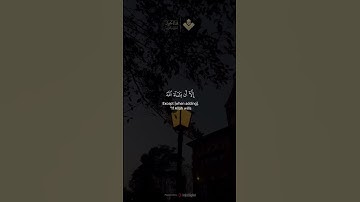 نور مابين الجمعتين | سورة الكهف | الشيخ #المنشاوي #الجمعة