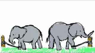 Details Kutty Story | Elephant Chain best Motivational Story  in Tamil | Esther Lifestyle News
