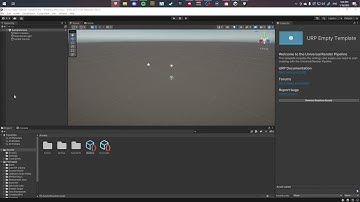 Building Your First Survival Game with Unity #1: Setting Up The Project