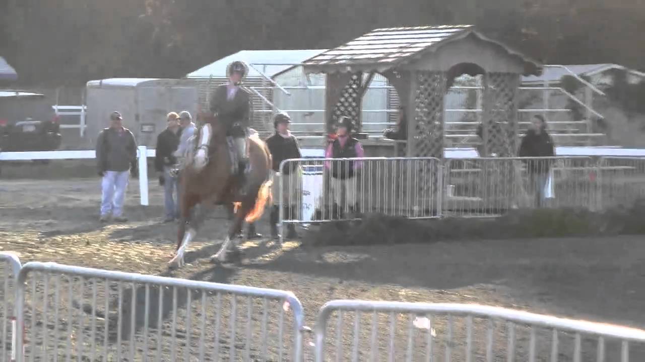 Quintessential Raleigh 2010 Working Hunter YouTube