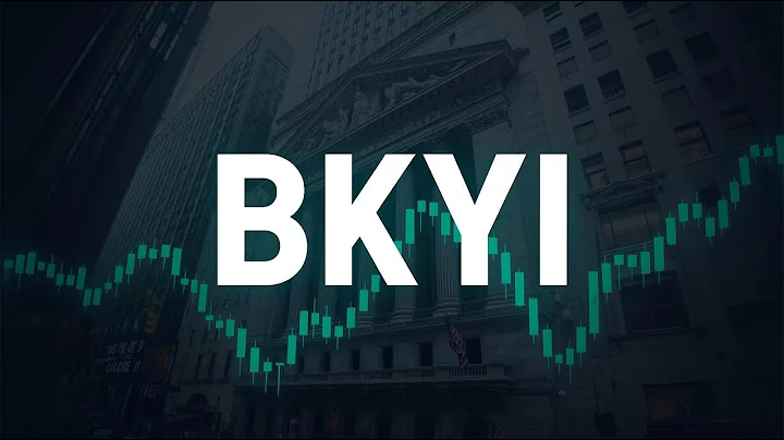 BIO key International Micro Cap Dossier Explained BKYI $BKYI #BKYI #finance #stockmarket #investing