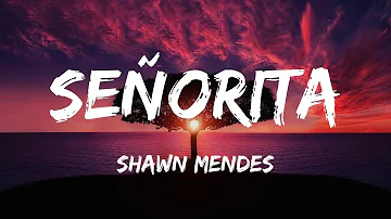 Shawn Mendes - Señorita (lyrics)