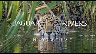 Jaguar Rivers Initiative