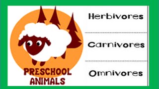 Herbivore Carnivore Omnivore Animals