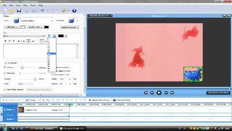 Tutorial: How to add callouts to your video using camtasia