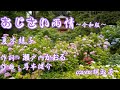 【2020.05.13發行】 あじさい雨情~令和版~ (歌詞中譯)  原唱:夏木綾子  cover:胡淑芳(平key)