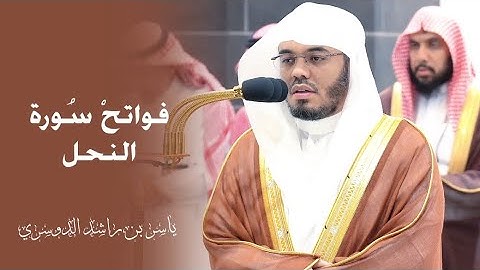 تلاوة هادئة من سورة النحل الشيخ #ياسر_الدوسري صلاة الفجر 20 صفر 1446