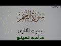 تلاوة عطرة مقام النهاوند من سورة النجم بصوت القارئ د أحمد نعينع نجومي