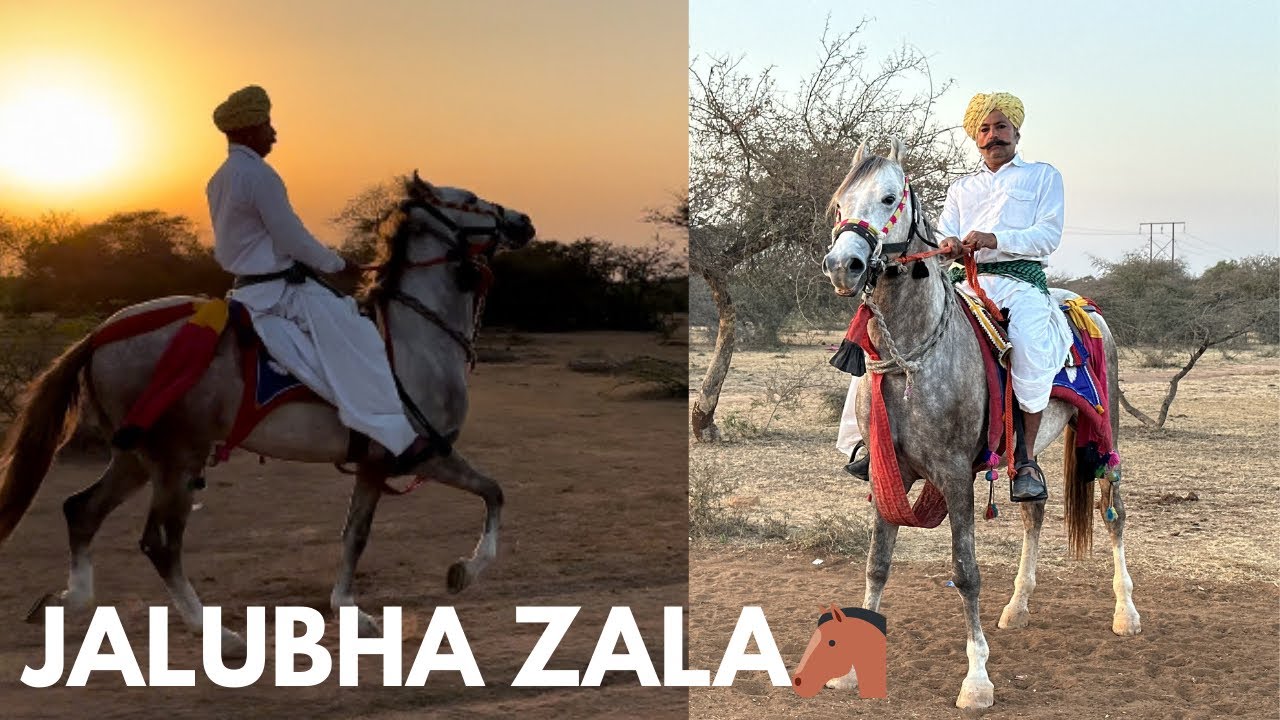 Aaj Naya ghoda🐴 training ke liye aya Jalubha zala k pass
