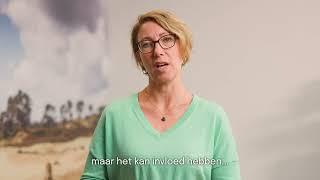 Trimbos Vapevrije Start