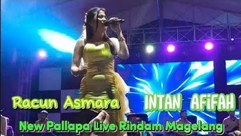 RACUN ASMARA new pallapa live rindam magelang #newpallapa #dhehan_audio #magelang