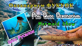 видео: #ШОУ_РУСАЛОК. #Винвондерс. ФУКУОК. #ОКЕАНАРИУМ. / #OCEANARIUM. #SHOW_MERMAIDS. #VinWonders. Phu Quoc картинка: #ШОУ_РУСАЛОК. #Винвондерс. ФУКУОК. #ОКЕАНАРИУМ. / #OCEANARIUM. #SHOW_MERMAIDS. #VinWonders. Phu Quoc